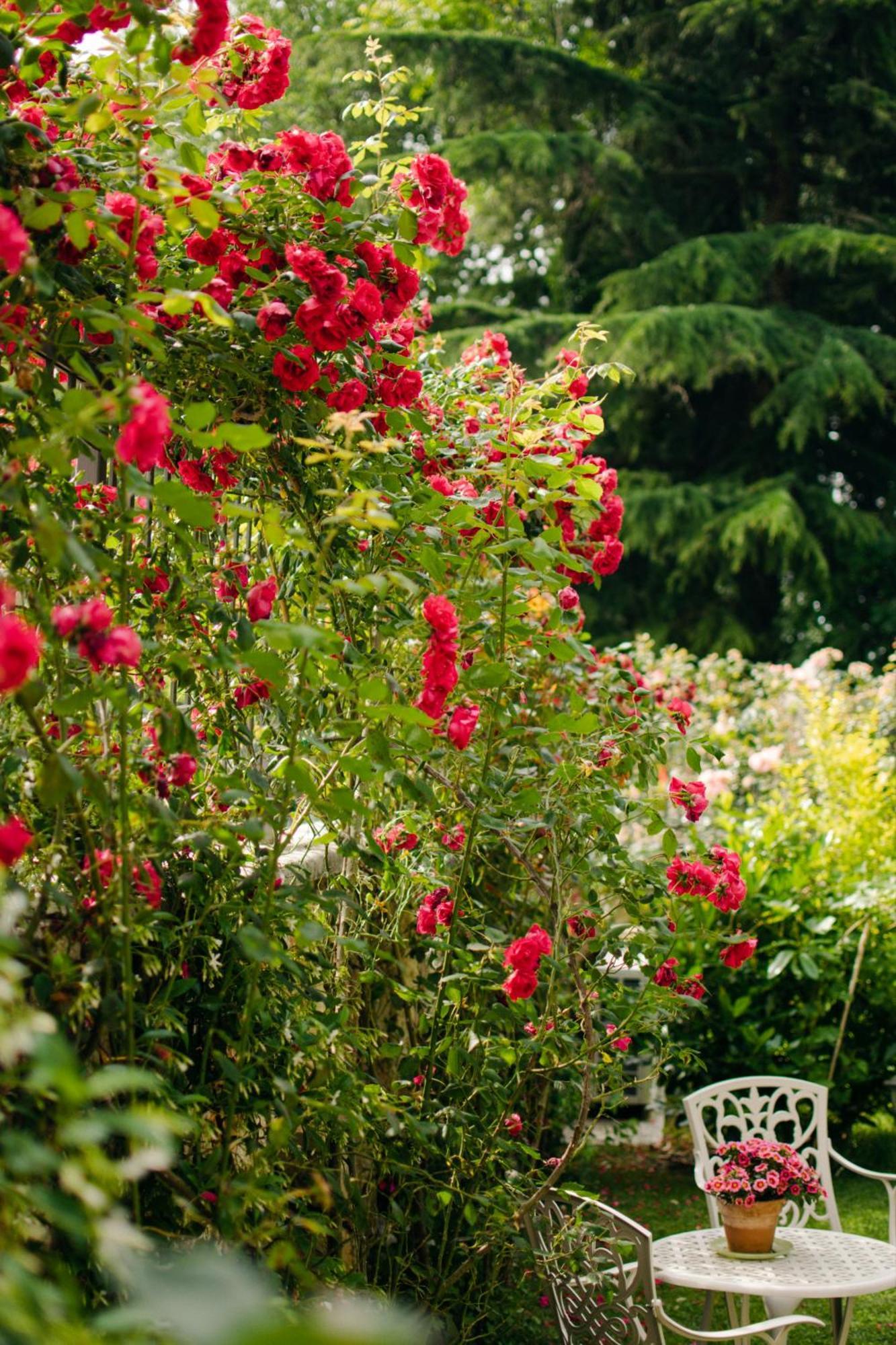 Rama Relais Bed and Breakfast Caprino Veronese Buitenkant foto